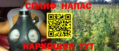 Альфа ПВП Ливны