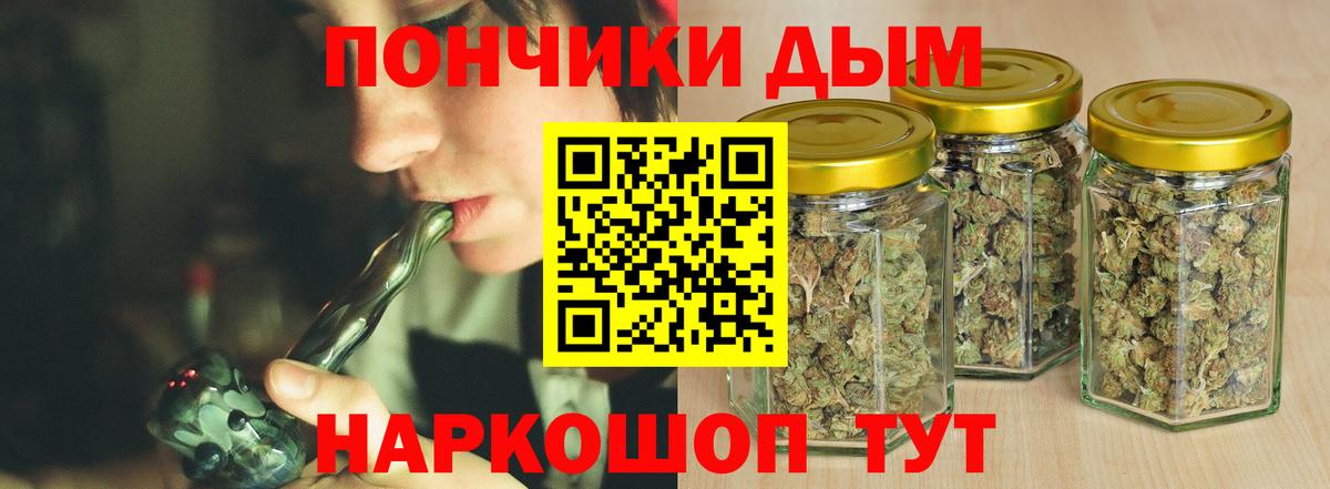 Бошки Шишки конопля Гусев